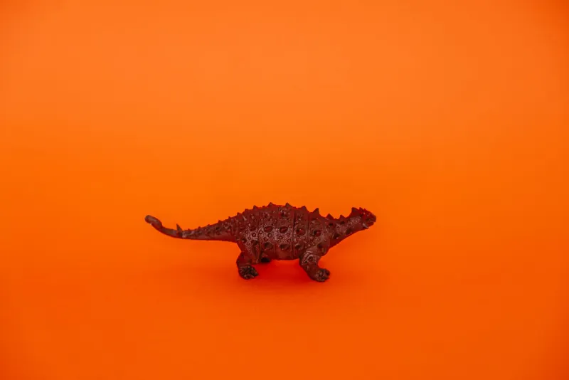 Don't Step on the Crack (Or My Whole Week Is Ruined): A Field Guide to America's Wildest Personal Superstitions